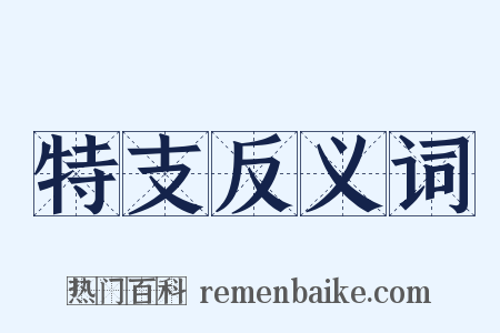 特支反义词是什么意思的图片